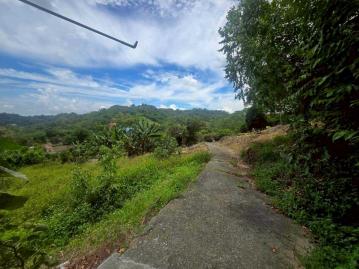 嘉義房仲 梅山雙溪便宜農保用地