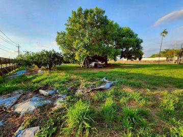 嘉義房屋仲介 大林雙面路農地
