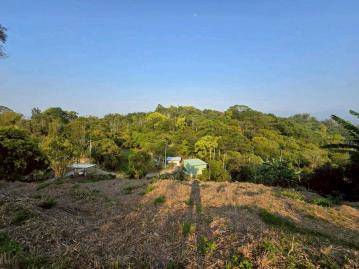 嘉義房屋仲介 竹崎166縣道旁農地