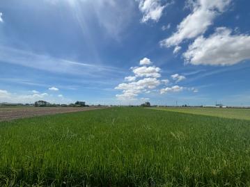 鹿草竹園國小旁美地(5)