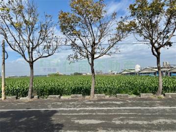 台南公寓推薦 專約 大面寬朝南18米路農地 