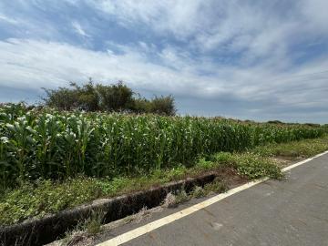 嘉義找土地 東山許秀才農地