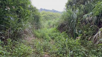 房屋土地專家 北銅鏡6262-苗栗三灣北銅鏡段景觀美地