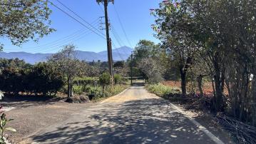 房屋土地專家 南投埔里桃米坑段1978-臨路方正農地