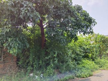 台南房地仲介 七股竹橋庄內便宜建地