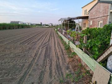 劉厝段黃金農地455坪