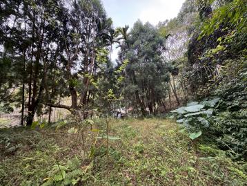 14期建地出售 東勢石角中坑北坑農地