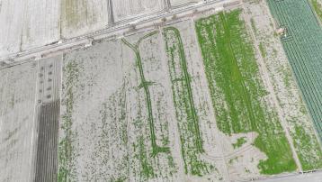 近帝寶俗田 彰化土地推薦