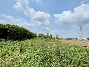 嘉義縣新港鄉新中洋子段大面寬方正美建地+農地
