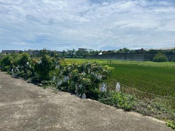 屏東農舍土地     林園都農工業地
