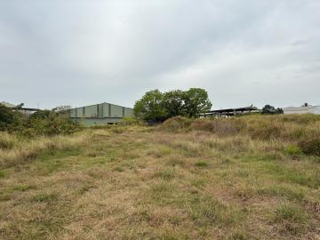 高雄土地開發 大發工業區內都內農地