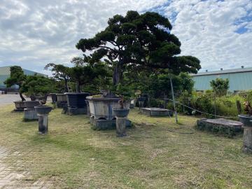高雄土地開發 鳥松正神農路上都內農地
