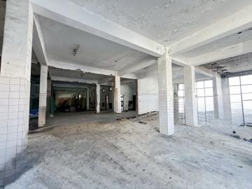 高雄土地開發 新化南霸天丁建廠房