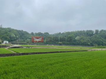 頭份透天買房 免上山地勢平坦美農地