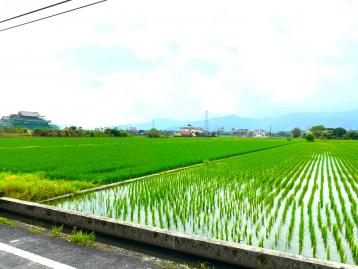宜蘭購屋小巢 ｜ 冬山珍珠生態綠洲田園風光便宜美農地