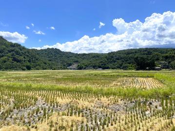 宜蘭購屋小巢 ｜ 三星安農溪上游農地