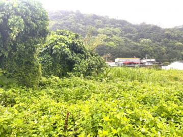 宜蘭購屋小巢 ｜ 蘇澳湖口交流道大面寬都內工業乙工建地