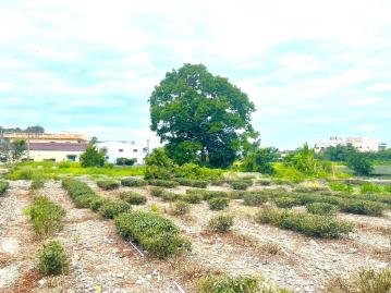 宜蘭購屋小巢 ｜ 冬山仁山大坪數農地