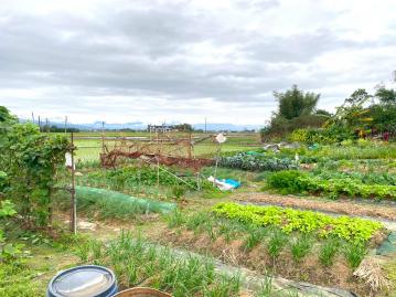 宜蘭購屋小巢 ｜ 龍德大面寬小坪數田園耕作袋地農地