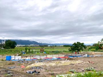 宜蘭買房賣房 龍德大面寬小坪數田園耕作袋地農地