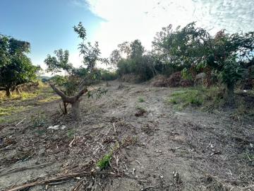 歸仁土地買賣  近沙崙產業園區潛力農地