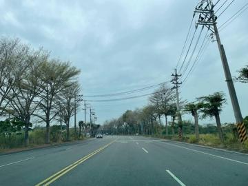 歸仁土地買賣 (專)崙頂25米大道411坪特農