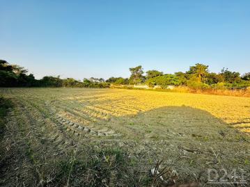 東區好房推薦 新化鄰國道8外環道正路面農地