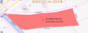 花蓮房仲推薦 2 吉安台九線省道農地公告現值七折就賣