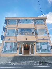 嘉義太保土地 新港豪華店住