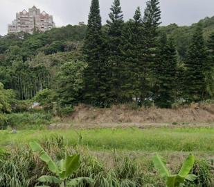中壢房仲小姐姐 楊梅近校前路有水有電美農地 中壢體育園區