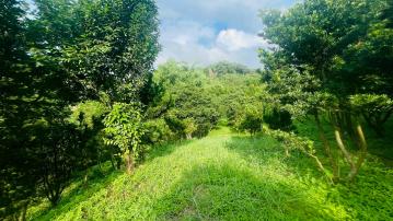 淡水房屋買賣 K031專約陽光灑落小溪旁養生秘境農居休閒地