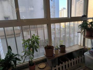  淡水好屋推薦 大旭地方正3+1房車