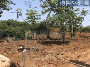 淡水好屋推薦 下圭柔山好地段臨路優質農地