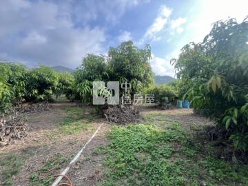 內埔房仲推薦 屏東春日便宜農地(5.2分)