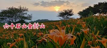 #高雄法拍買賣 #富里六十石農地 #土地999坪47萬