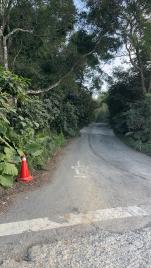 桃園捷運買屋 龍潭俗仔農地