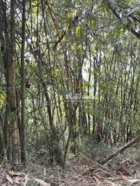 南投透天建案   中寮福山清涼地