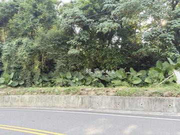 南投透天建案   中寮風水美地