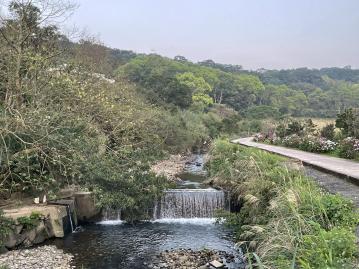 新北市三芝區三生步道賞櫻浩養橋墩旁農地