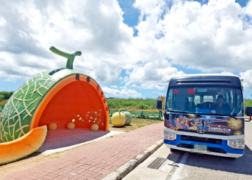 澎湖 白沙鄉後寮瓜果展產業農地全區最便宜