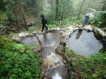 新竹竹北房產 竹東上坪丙建+農地 買地送屋