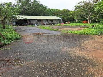 新竹竹北房產 後龍台1線農建地(買地送屋)
