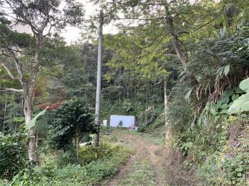新竹竹北房產 竹東五指山景觀林地(三)+買地送屋