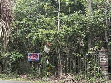 房地產女超人 台中太平頭汴坑 1.4甲美農地