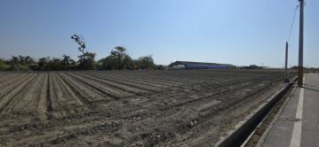 嘉義房仲女神 四湖新蔡厝段大面寬農地