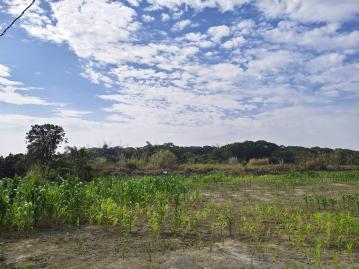 雲林土地仲介興合發地產斗南東明農地