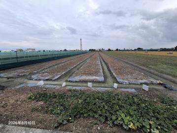 雲林土地仲介 興合發地產 西螺公館農地