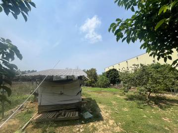   土地廠房范僑宴 租新屋廠房