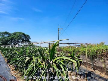 大台南房仲王 文衡殿旁３．６２分果園農地