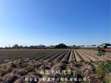 台南市區土地房屋 山上水道館８米路一般農地